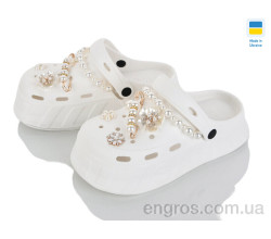 Кроксы Golden Lion